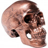 Копилка Skull, коллекция &quot;Череп&quot; 14*14*20, Полирезин, Медный