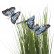 8J-14AK0041 Стебли травы с бабочками на плетеной основе 40 см (гол.) (6)