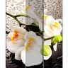 Ширма 1111-3 &quot;Белая орхидея и капли&quot; (3 панели)