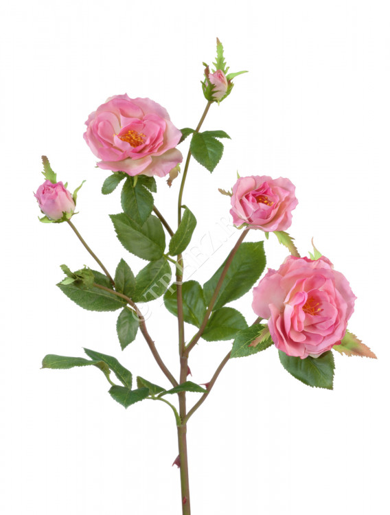 Роза Вайлд ветвь розовая 30.0613111PK
