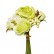 9F28018-4673 Букет розы-пионы бело-зеленый 30см (24)