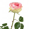 Роза Джема ярко-розовая со св.лаймом 30.03150254PK