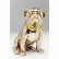 Копилка Sitting Bulldog, коллекция Сидящий бульдог
