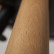 Стул полубарный DOBRIN RONNI, ножки светлый бук, тёмно-серый (GR-04)