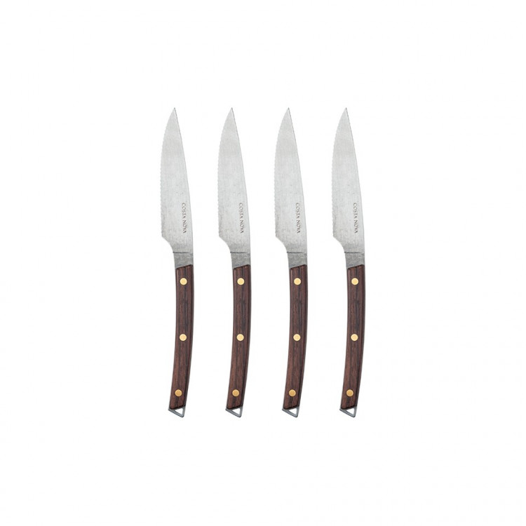 Набор из 4 ножей для стейка COSTA NOVA C20587-VTG Costa Nova C20587-VTG