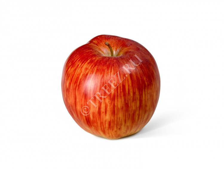 Яблоко красно-жёлтое 30.03070059
