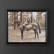 Картина Мальчик на лошади ROOMERS FURNITURE TO-AIPOT392BOHRFTZ