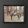 Картина Мальчик на лошади ROOMERS FURNITURE TO-AIPOT392BOHRFTZ