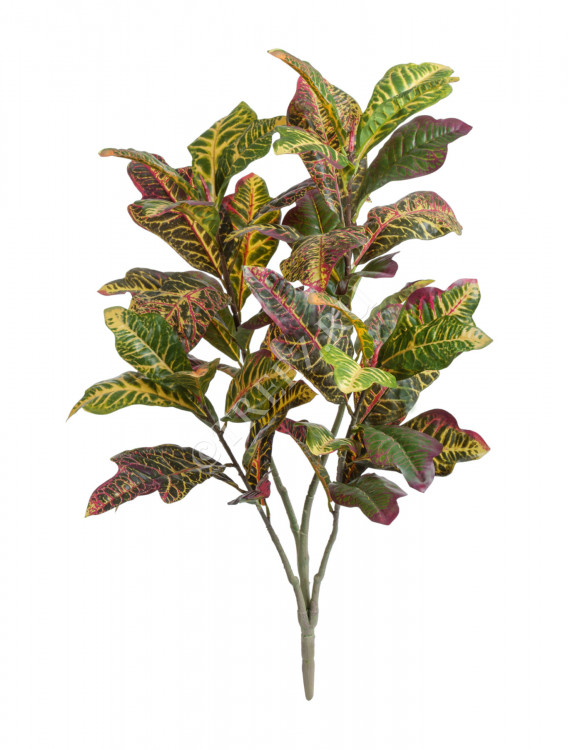 Кротон куст Большой зелёно-жёлто-розовый (Sensitive Botanic) 20.1146GYP