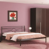 Кровать двуспальная Мираж (160х200/мет. основание/ Коричневый эмаль RAL 8017)