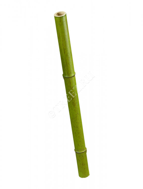 Бамбук стебель полый св. зелёный толстый 30.0611062SM