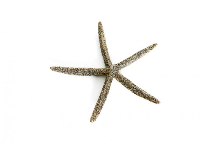 Декоративная фигура "Морская звезда LG" OC.11.52.183