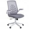 Офисное кресло Chairman CH565 белый пластик, серый