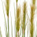 Трава Осока Элеганс куст с зелёными султанами 20.1040L-090