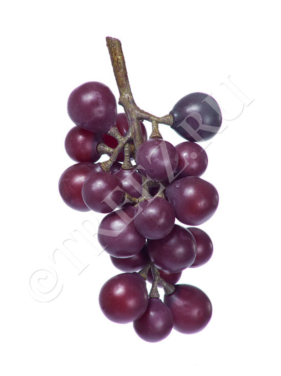 Виноград чёрный гроздь малая 30.0313047