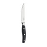 Нож для стейка 076000EU PINTINOX