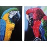 Картина Parrots, коллекция &quot;Попугаи&quot;, в ассортименте 70*110*1,5, Холст, Ель, Мультиколор