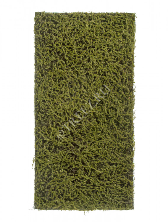Мох Сфагнум Fuscum оливково-зелёный (полотно среднее) 20.0820412M