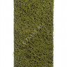 Мох Сфагнум Fuscum оливково-зелёный (полотно среднее) 20.0820412M