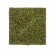 Мох Сфагнум Fuscum оливково-зелёный (полотно) 20.0820412S