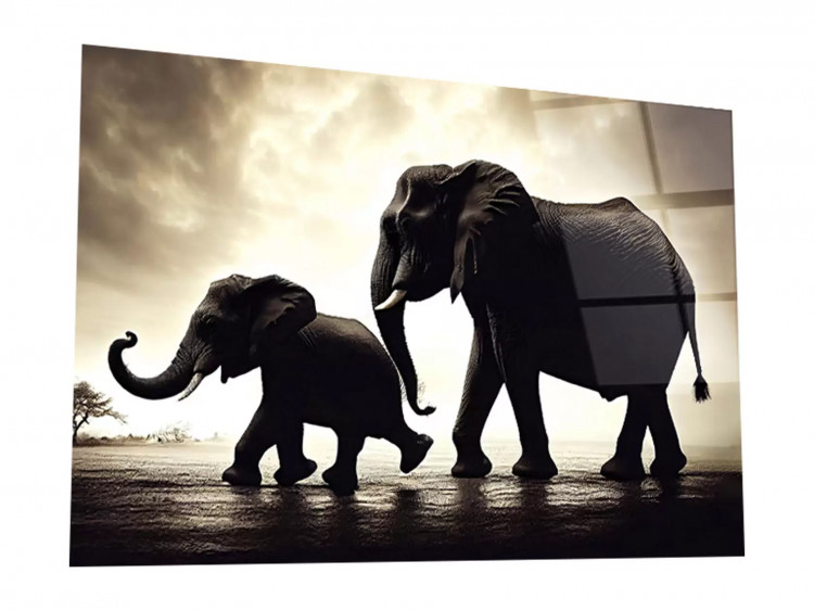 Картина АртаБоско Картина на стекле 40х60 "Слоны". Артикул WBR-15-1580-04