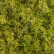 Мох Ягель светло-зелёный микс (коврик) 20.072028LG-M