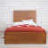 Дизайнерская кровать "Gouache Birch" арт M10512ETG/1