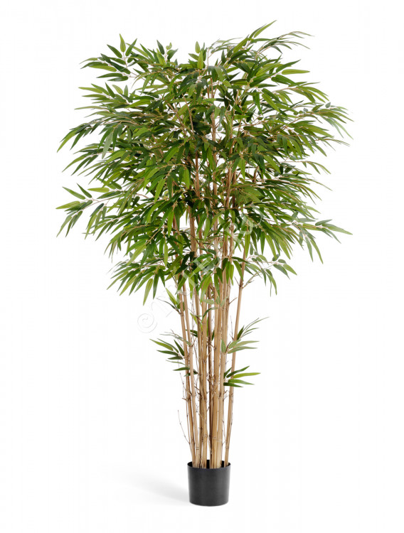 Бамбук натуральный 10.35605N