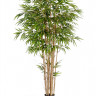 Бамбук натуральный 10.35606N