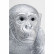 Статуэтка Monkey, коллекция "Обезьяна" 48*50*37, Полирезин, Серебряный