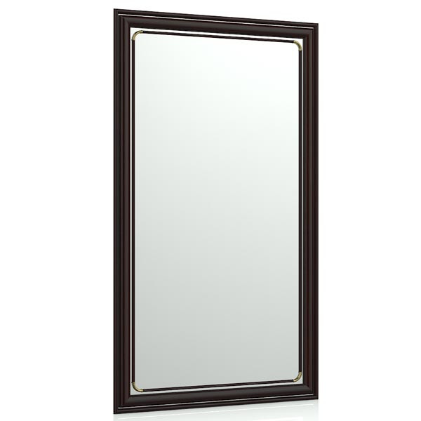Зеркало 121С махагон, ШхВ 55х95 см., зеркала для офиса, прихожих и ванных комнат, горизонтальное или вертикальное крепление